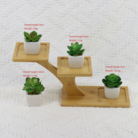 Grosir Langsung Pabrik Berbagai Macam Sukulen Kecil Buatan Mini Sukulen Plastik Bonsai dengan Pot Keramik