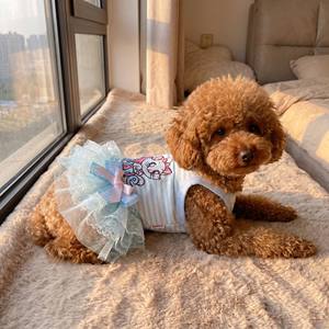 Vestido para Cachorros Ultra Pequeño, Adorable, de Algodón <span class=keywords><strong>Puro</strong></span> con Bordado y Encaje, para Verano, Transpirable, Personalizado de Fábrica - Product Image 3