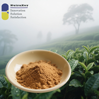 优质无咖啡因绿茶提取物98% 多酚，用于保健品和功能性食品