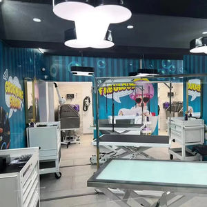 220v מכה מחמד מכה מייבש עם כלב אירופאי תקע כלב ללא יבש עם יונית aeolus מייבש שיער סטיילינג - Product Image 5