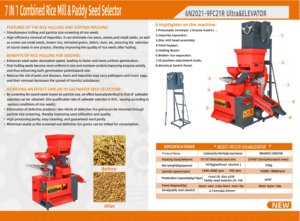 Macchina selezionatrice di semi di riso DAWN AGRO, lucidatrice per riso, mulino per riso con separatore di pietre, macchina per la sgusciatura del riso. - Product Image 2