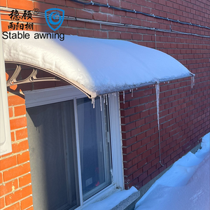 Chất Lượng Cao Vườn Nguồn Cung Cấp Ánh Sáng Truyền Qua Tán Carport Cửa Sổ Bán Tốt Nhất Polycarbonate Mái Hiên Cửa Tán Cho Quán Cà Phê - Product Image 6