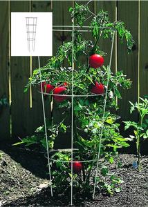 Jaula de tomate de acero <span class=keywords><strong>galvanizado</strong></span> de alta resistencia, jaula de planta de pila de tomate de plástico, marco de soporte de planta trepadora de celosía cónica - Product Image 4