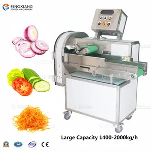 FC-306L Large Capacity Vegetable Fruit Carrot Cabbage Slicing Shredding Machine