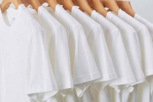 High Quality 100% Cotton 180gsm Fabric Luxury Blank Heavyweight Unisex Solid Eco-Friendly Custom Print Men's T-Shirt - Product Image 3