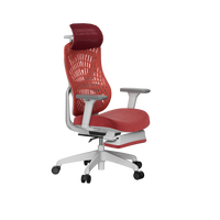 Nouvelle chaise de bureau avec dossier en caoutchouc souple PP+TPE, design dynamique et ergonomique pour le personnel/chaise de travail
