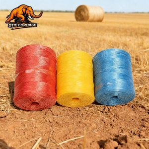 Cuerda <span class=keywords><strong>de</strong></span> Plástico <span class=keywords><strong>de</strong></span> Colores para Atar, PP/PE HDPE, <span class=keywords><strong>Venta</strong></span> Directa, para Jardinería, Agricultura, Fábrica, Resistente a la Tensión - Product Image 1