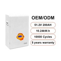 Baterai LiFePO4 10kWh 48V 100Ah 200Ah Sistem Penyimpanan Energi Rumah Baterai Lithium Tenaga Surya 6000 Siklus Deep Cycle ESS