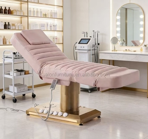 Popular Pink <b>Electric</b> Beauty Bed White and Silver <b>Electric</b> Beauty Bed - Product Image 3