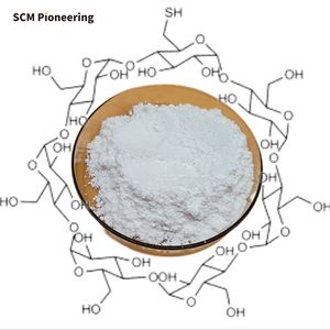 SCM 제조업체 공급 하이 퀄리티 안정기 CAS 7585-39-9 부형제 베타-사이클로덱스트린/베타 덱스 - Product Image 5