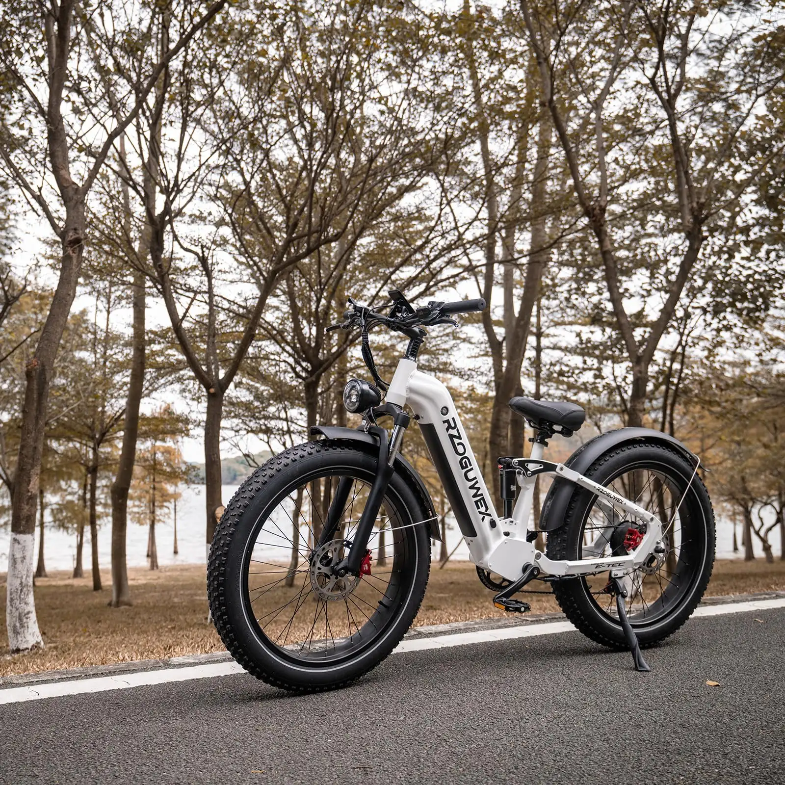 China Alemania Canadá Italiano Alibaba Amazon Bicicleta eléctrica Montaña Eléctrica Ciudad Bicicleta de carretera Venta al por mayor para la venta
