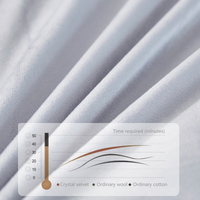 Ensemble de literie 4 pièces en velours cristal 100% polyester personnalisable, choix de couleurs multiples, approvisionnement en gros pour les revendeurs de literie