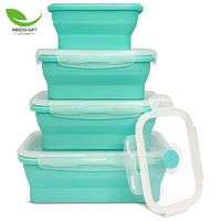 Boîte à Lunch pliante en Silicone, pièces, récipients de stockage des aliments dans la cuisine personnalisés, bols pour le Camping, conteneurs de stockage des aliments