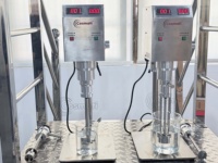 Machine de fabrication de cosmétiques pour crèmes, lotions, fonds de teint liquides, homogénéisateurs de laboratoire, pâtes de shampoing