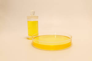 Оптовая продажа, экстракт Ganoderma <span class=keywords><strong>Lucidum</strong></span>, порошок, травяной экстракт, Экстракт Рейши, органическое споровое масло - Product Image 5