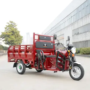 La migliore vendita di trike moto 1000w 60v piombo tricicli elettrici OEM camion Cargo grande ruota triciclo