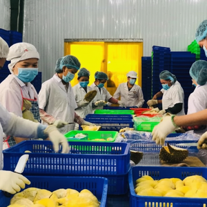 SEGMENTOS DURIAN CONGELADOS 100 POR CIENTO NATURAL SIN CONSERVADORES - Product Image 1