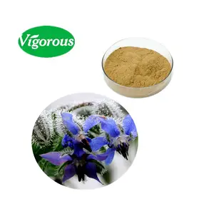 Best price cosmetics Borago seed oil Borago officinalis extract