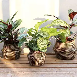 Seagrass Hand Woven Storage Basket Belly Baskets Indoor For Flower Pot Storage Laundry Picnic Grocery Straw Bag