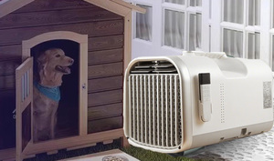 <b>Portable</b> 220V Single Cooling All-In-One Air Conditioning <b>Unit</b> New for Tent Camping Car Mobile Outdoor Use <b>AC</b> Compressor - Product Image 5