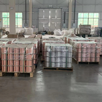 Kabel Tembaga Berlapis Aluminium (CCA) Inti Tunggal Premium untuk Kabel Data dan Kabel Internal Elektronik