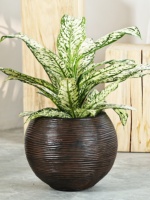 Pot de fleurs sphérique sur pied en ciment d'argile de magnésium, grand diamètre, style nordique minimaliste, luxe léger, Simple Green International