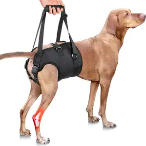 帮助老年残疾人行走可调节吊带支撑大型犬后腿/老年犬移动辅助工具