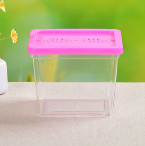Mini petites méduses tasse transparente Pour Animaux de compagnie boîte à insectes poisson rouge tortue réservoir - Product Image 6