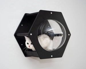 दीवार बिल्ली खेल का मैदान पालतू बिस्तर अद्भुत बिल्ली गुफा बॉक्स के साथ अच्छी तरह से अलमारियों शिल्प - Product Image 5