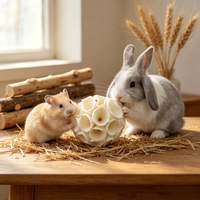 Jouets à mâcher pour animaux de compagnie en herbe naturelle faits à la main, écologiques, mignons et tendance, pour soulager l'anxiété quotidienne, boule à mordre pour perroquet, 6 cm, en gros, en stock