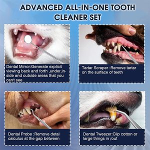 Kit de nettoyage des dents, éliminateur de <span class=keywords><strong>tartre</strong></span> et de taches, adapté aux chiens et aux chats - Product Image 6