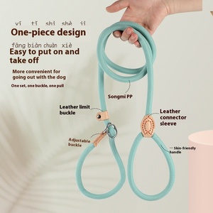Correa de perro con cadena de cuerda P integrada sólida, arnés de caminar duradero clásico para perros pequeños y grandes, suave grueso a prueba de explosiones - Product Image 1