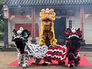 Costume de danse du lion pour <span class=keywords><strong>adulte</strong></span>, célébration du Nouvel An <span class=keywords><strong>chinois</strong></span>, mascotte, patrimoine culturel immatériel, costume de performance de danse du lion - Product Image 5