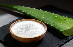 Concentrado de polvo de aloe vera 100X al por mayor, confiable y de calidad premium para fábricas de cosméticos y distribuidores de materias primas - Product Image 2