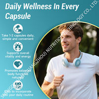 Complément alimentaire OEM NAD+ Resvératrol Urolithin-A Complex 60 capsules CoQ10 Apigénine Énergie Cellulaire Antioxydant Vitalité pour