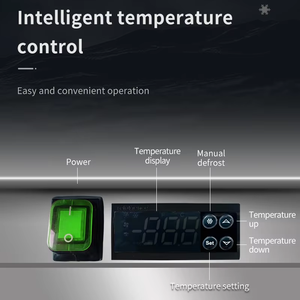 Equipo refrigerado para comer, reezer - Product Image 4