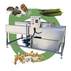 Small Air Bubble Tomato Clean Machine Industrial Vegetable Washer Avocado and Mango Wash Machine