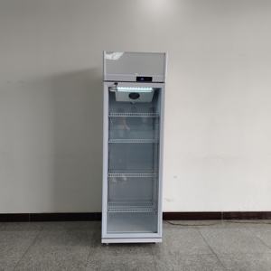Nevera comercial con puerta de vidrio, <span class=keywords><strong>congelador</strong></span> <span class=keywords><strong>Vertical</strong></span> de bajo consumo, estante ajustable, <span class=keywords><strong>Vitrina</strong></span> refrigerada - Product Image 6