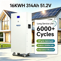 Système de stockage d'énergie REIF0 16 kWh 51,2 V 314 Ah, cellules LiFePO4 de qualité A, plus de 6000 cycles, OEM et ODM disponibles, batteries solaires LiFePO4
