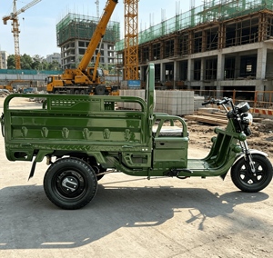 ใบรับรอง EEC COC รถจักรยานยนต์สามล้อ 1000W ความเร็วสูง รถมอเตอร์ไซค์วิบากสามล้อ - Product Image 4