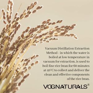 Ensemble de soins de la peau du <span class=keywords><strong>visage</strong></span> au riz hydratant blanchissant nourrissant de marque privée 5 pièces à utiliser pour le <span class=keywords><strong>visage</strong></span> - Product Image 5