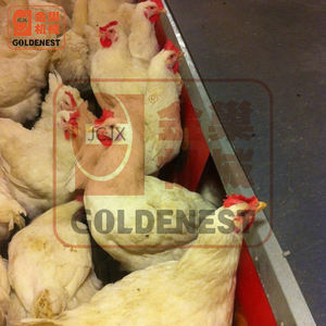 אוטומטי ציפור קן ביצה/משלוח טווח עוף ביצת קן קופסות לנקבה מגדל ונחת תרנגולות - Product Image 4