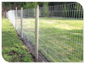 Hor販売牛ファームフェンシング馬フェンシング工場直送中国農村鹿ファームフェンシング - Product Image 2