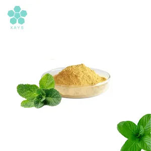 Organic Herbal Dry Spearmint Leaves Grass Tea Extract Powder