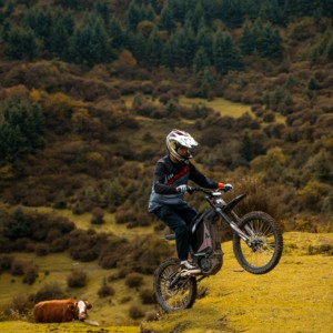 Vente en gros de motos électriques tout-terrain 8KW haute puissance 72V 85km/h pour concessionnaires, détaillants et clubs de motards – Marchés UE et US - Product Image 6