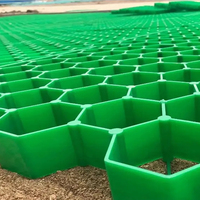 Grille d'herbe en plastique Grille d'allée Pavé Polymère HDPE Grass Paver Grille