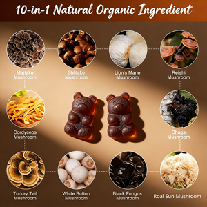 Özel Marka Nootropik Beyin Takviyeleri Aslan Yelesi Mantarı Jelibonları Organik Mantar Jelibonları - Product Image 2