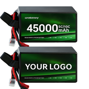 Batería OEM para UAV de 8S, 14S, 16S, 18S, 22S, 45000 mAh, BMS Personalizado, Estado Semisólido, para Drones Agrícolas, Equipos de Pulverización Agrícola, S-8000 mAh - Product Image 1