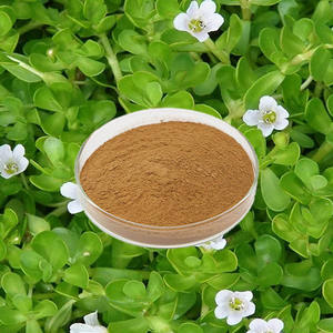 バコパモンニエリエキス10:1 <span class=keywords><strong>20</strong></span>:1天然バコパモンニエリエキス - Product Image 3