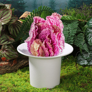 Wild and rustic style trendy hot pot tableware, beautiful vegetable <b>plates</b>, purple baby bok choy, yam, corn, bamboo shoots, - Product Image 1